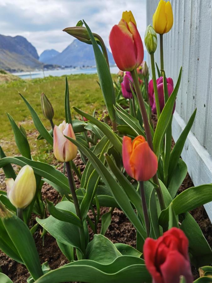 Banpim Beachside Lofoten Ramberg Luaran gambar