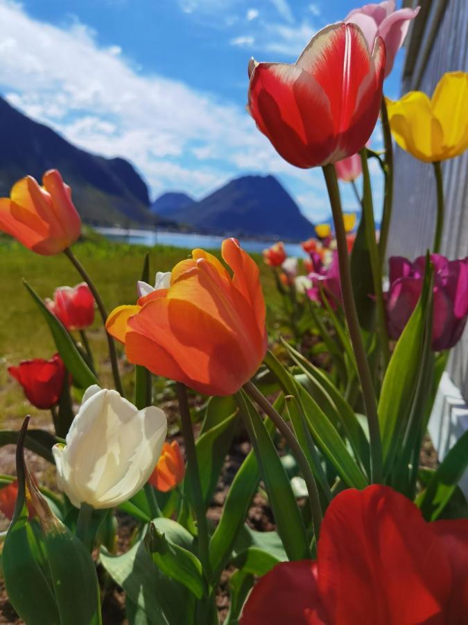 Banpim Beachside Lofoten Ramberg Luaran gambar