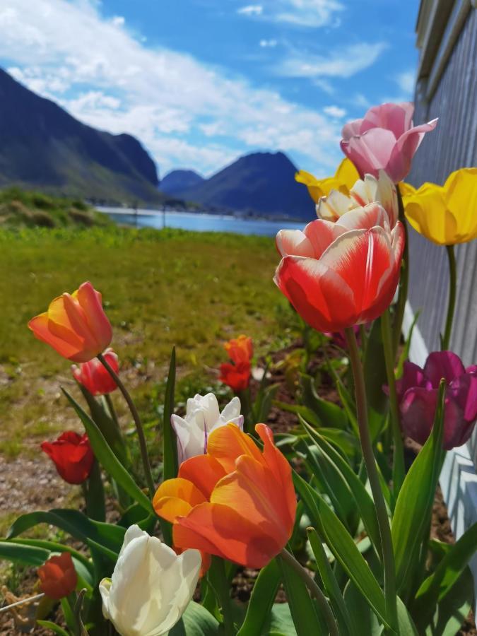 Banpim Beachside Lofoten Ramberg Luaran gambar